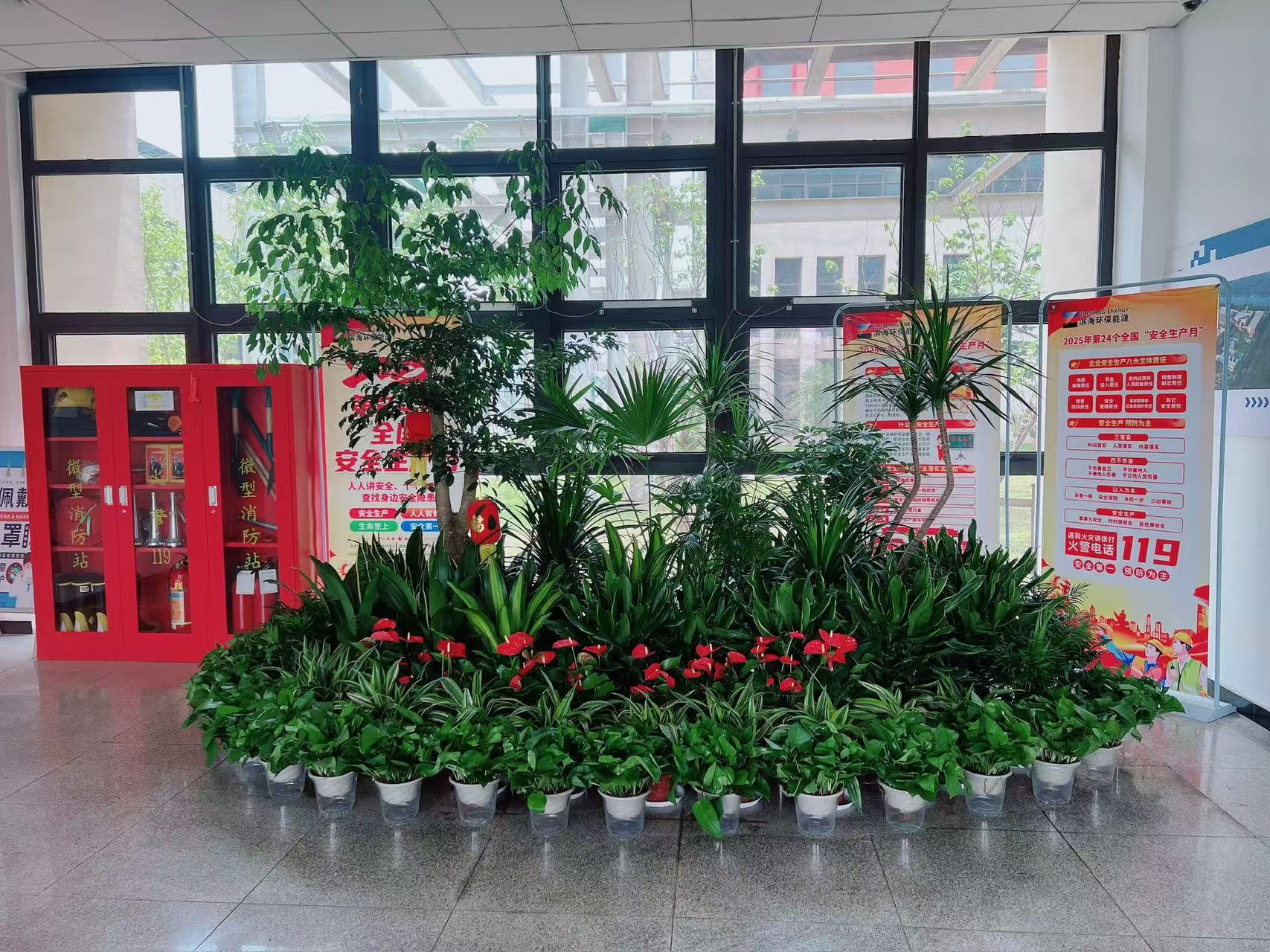 想找宁波前湾好的盆景租赁？看这里就对啦！